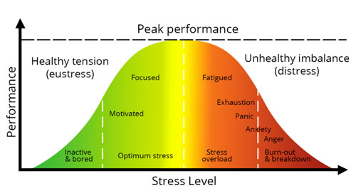 Graph showing performance, stress, and emotional states