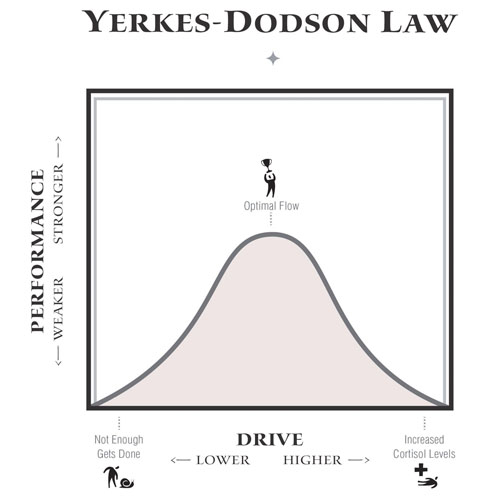 graph showing the yerkes dodson law